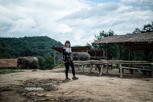 BIB: 
                            <button type="button" onclick="openModal(22423466)" class="btn btn-primary btn-sm float-right btn-popup" data-toggle="modal" data-target=".modal-high-quality">
                        <i class="fas fa-shopping-cart"></i> Add to Cart
                    </button>
                                            <button type="button" onclick="isThisMe(22423466, true)" class="btn btn-success btn-sm float-right btn-popup btn-isme hidden" data-toggle="tooltip" data-placement="bottom" title="นี่คือรูปของคุณใช่ไหม คลิกที่นี่เพื่อเอาเข้าอัลบั้ม">
                        <i class="fas fa-plus"></i> Add to album
                    </button>
                    <button type="button" onclick="isThisMe(22423466, false)" class="btn btn-warning btn-sm float-right btn-popup btn-isnotme hidden">
                        <i class="fas fa-ban"></i> Remove from album
                    </button>